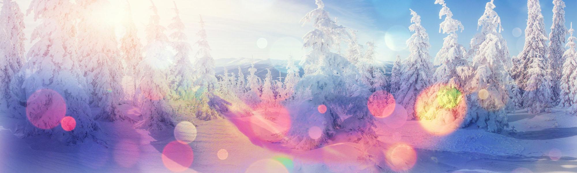 Snowy trees and sparkly lights