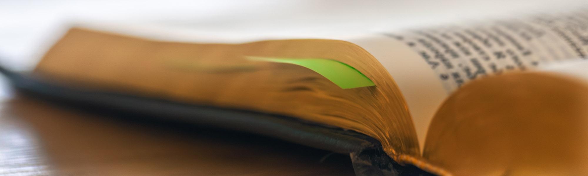 Open Bible with bookmark