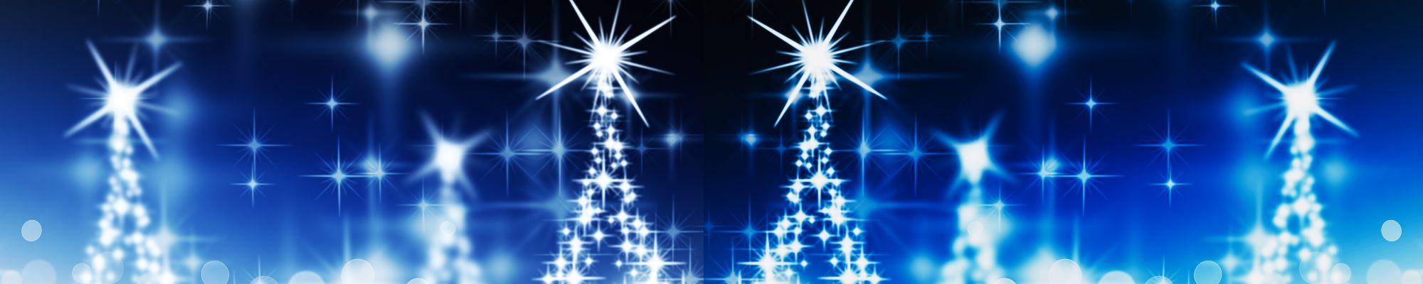 Shine Bright Holiday Auction