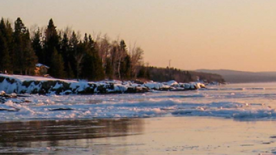 Winter trees image