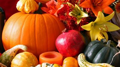 Pumpkin vegetables flowers