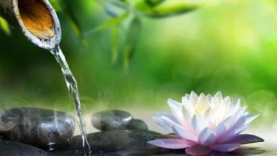 Lotus flower water